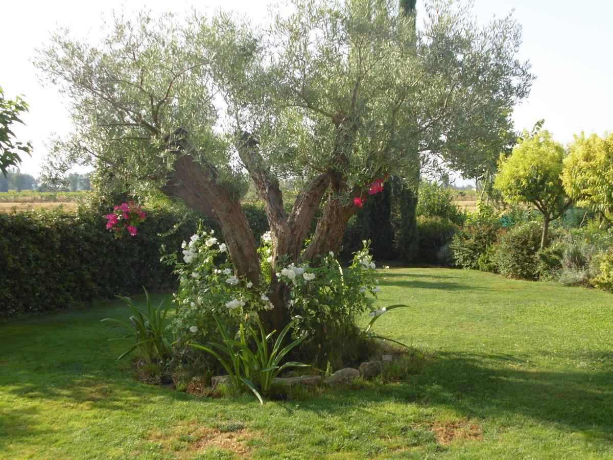 B&B La Gioiosa Assisi Luaran gambar