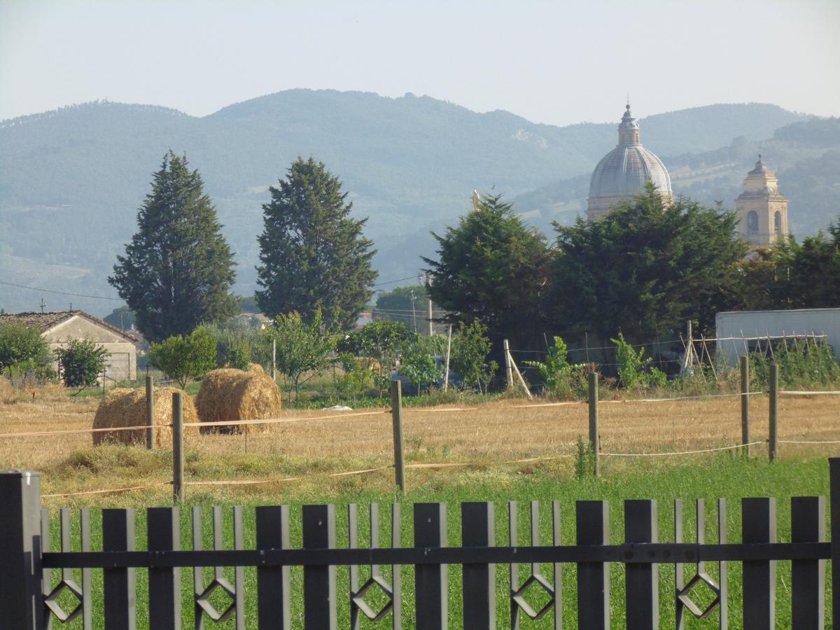 B&B La Gioiosa Assisi Luaran gambar